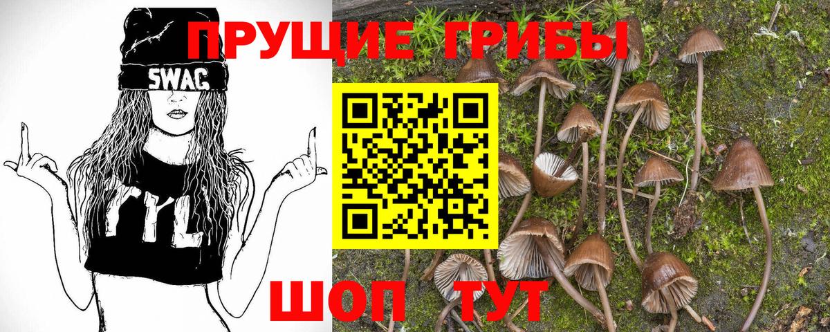 Десногорск  Галлюциногенные грибы Psilocybine cubensis  Псилоцибиновые грибы прущие грибы  Вход с VPN 